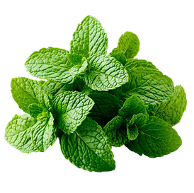 Mint Leaf Decoration